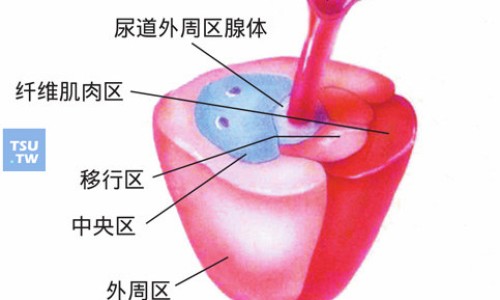 卡舒贝人-卡贝舒的主治功效网—知名的卡贝是什么药网站,分享卡贝舒凝胶效果好吗知识
