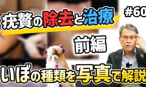 卡贝舒的功效与作用-卡贝舒的主治功效网—知名的卡贝是什么药网站,分享卡贝舒凝胶效果好吗知识